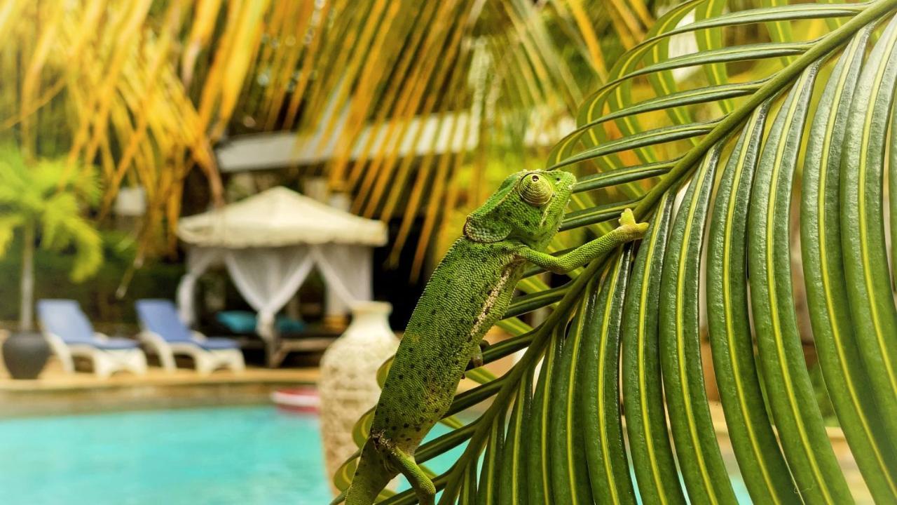 Kibanda Natural Kendwa Villa Экстерьер фото